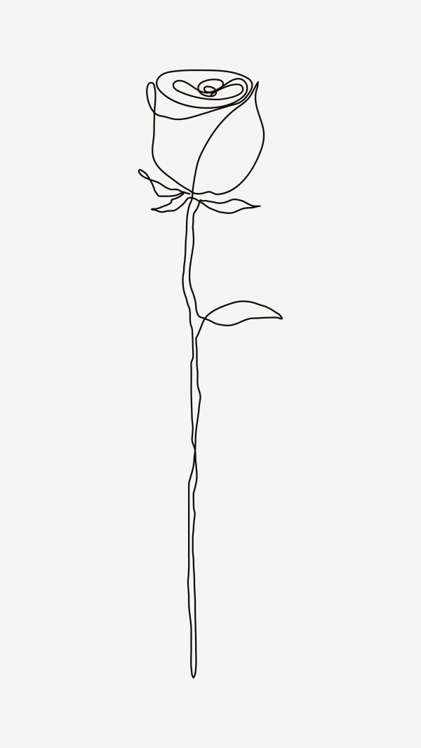 وکتور تک شاخه گل رز سیاه و سفید
