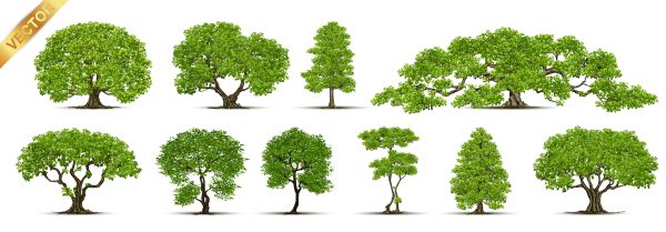 وکتور مجموعه درختان مختلف