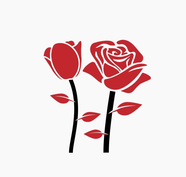 red rose vector scaled وکتور طرح شابلون گل رز قرمز