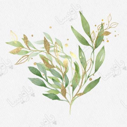دانلود فایل psd تزئینات گیاهی با بافت آبرنگ سبز فویل طلا